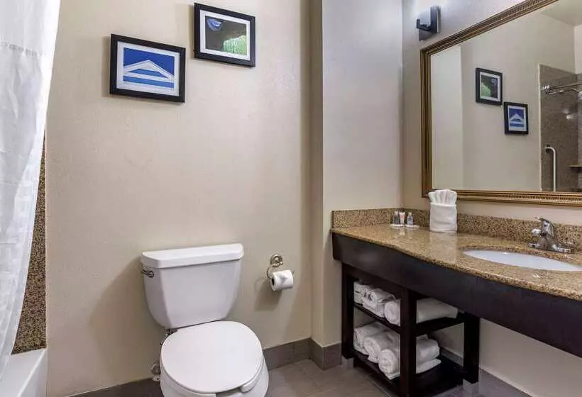 هتل Comfort Suites Shreveport West I20
