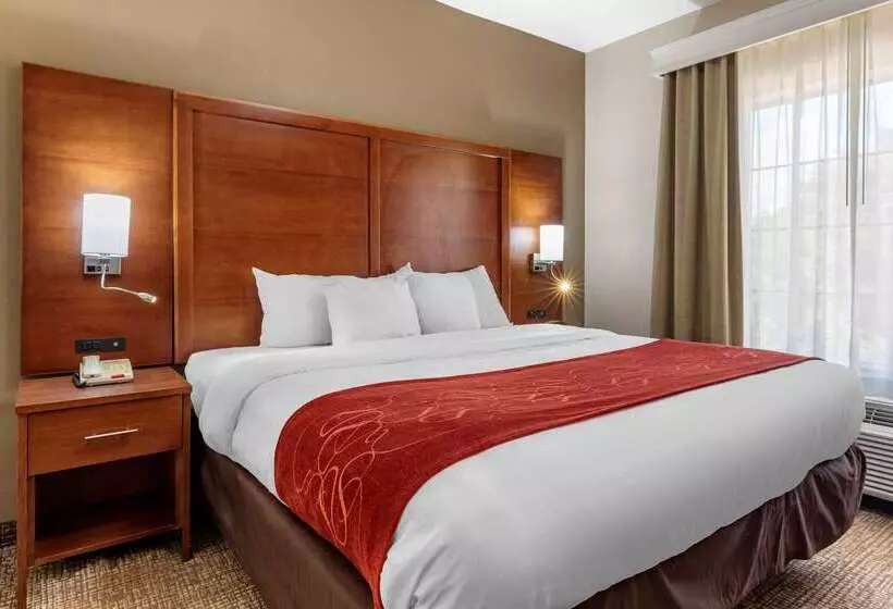 هتل Comfort Suites Shreveport West I20