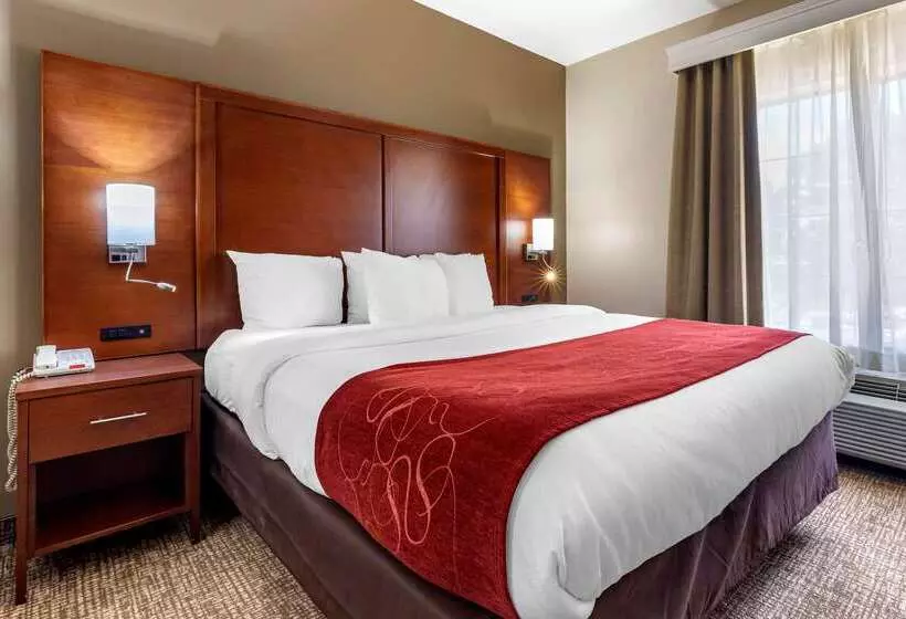 هتل Comfort Suites Shreveport West I20