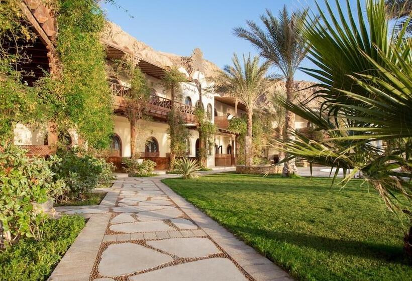 Hotel Dahab Paradise