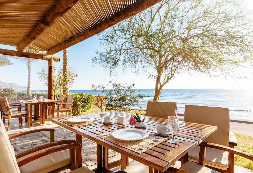 Hotel Dahab Paradise