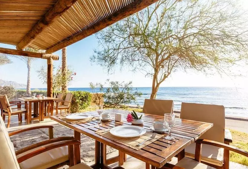 هتل Dahab Paradise