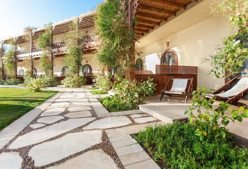 Hotel Dahab Paradise