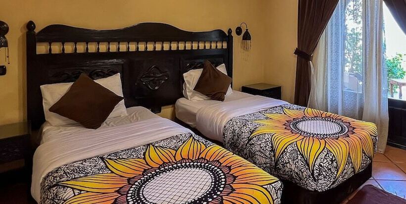 Hotel Dahab Paradise