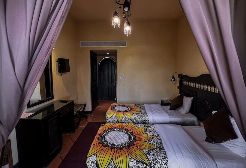 Hotel Dahab Paradise