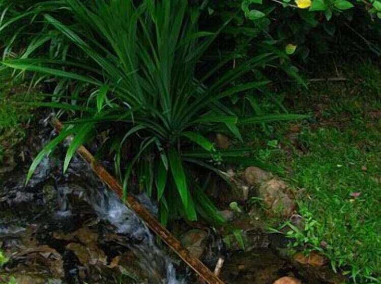 Hotelli Fern Resort Mae Hong Son