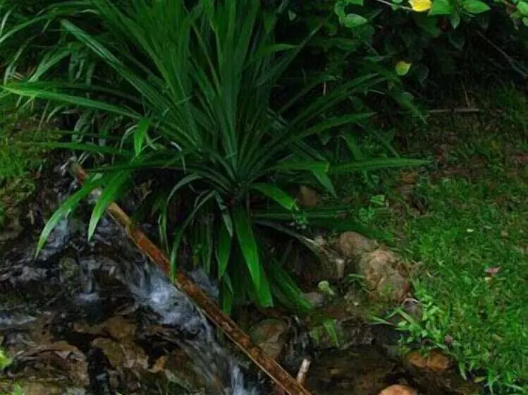 호텔 Fern Resort Mae Hong Son