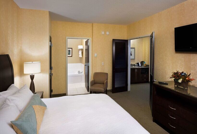 فندق Hilton Garden Inn Mankato Downtown
