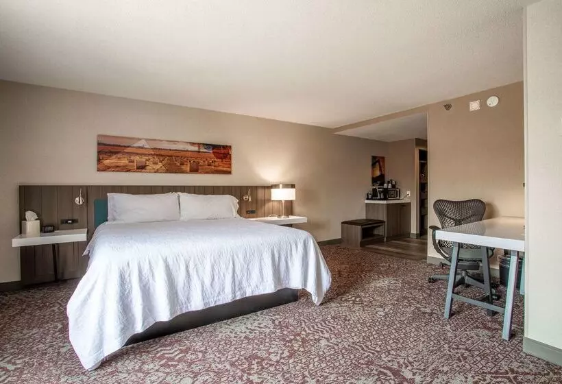 هتل Hilton Garden Inn Mankato Downtown