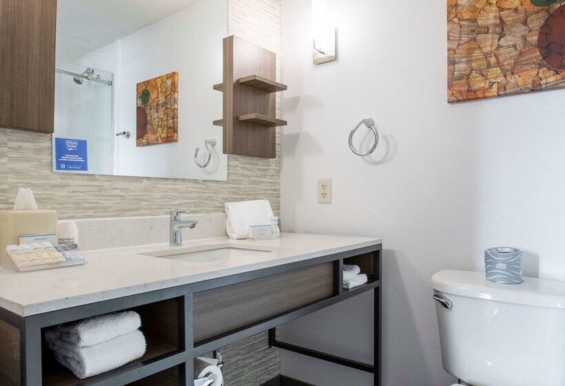 فندق Hilton Garden Inn Mankato Downtown