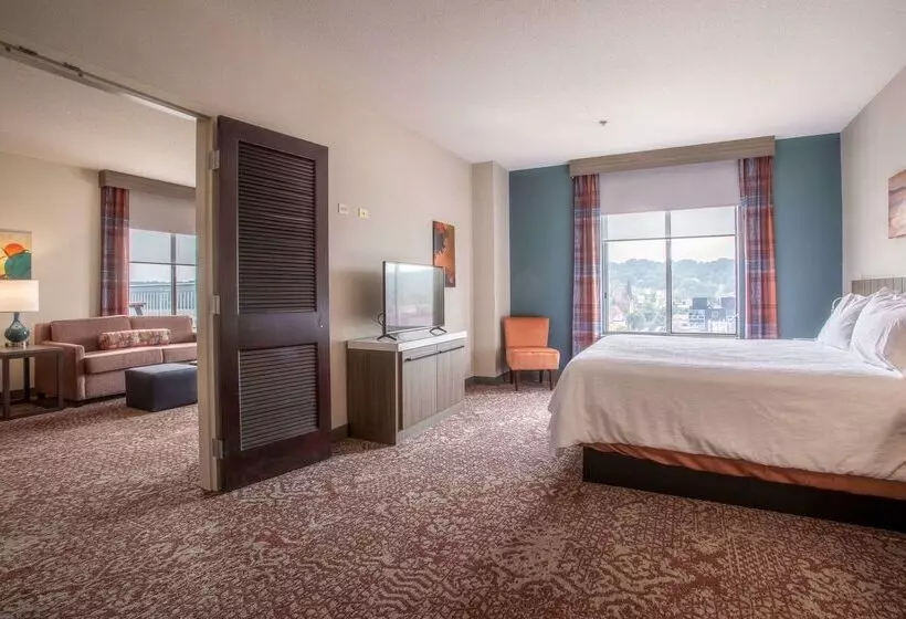 هتل Hilton Garden Inn Mankato Downtown