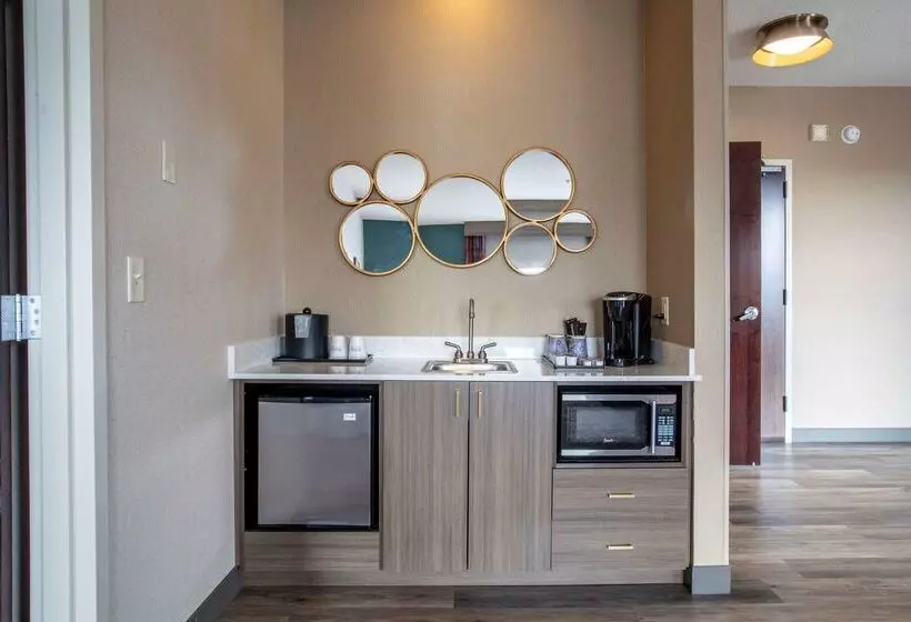 هتل Hilton Garden Inn Mankato Downtown