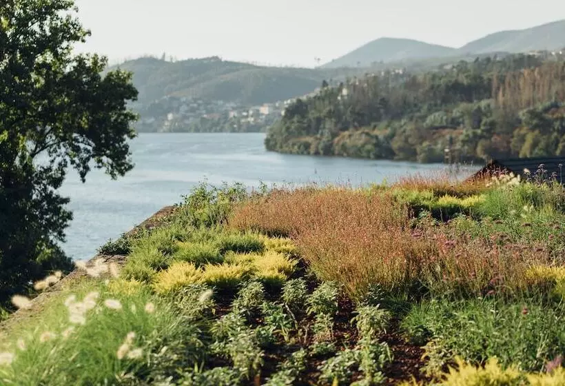 فندق Octant Douro