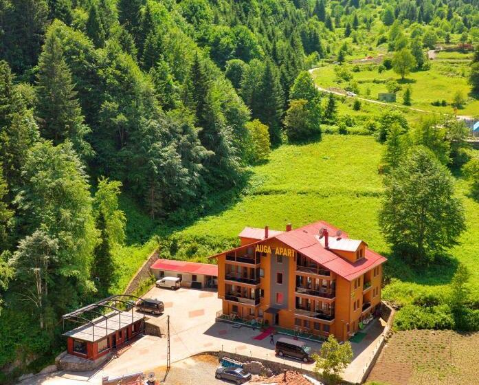 Auga Apart