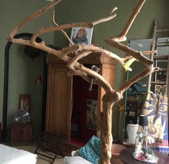 Bed and Breakfast Chambre D Autres, Massages