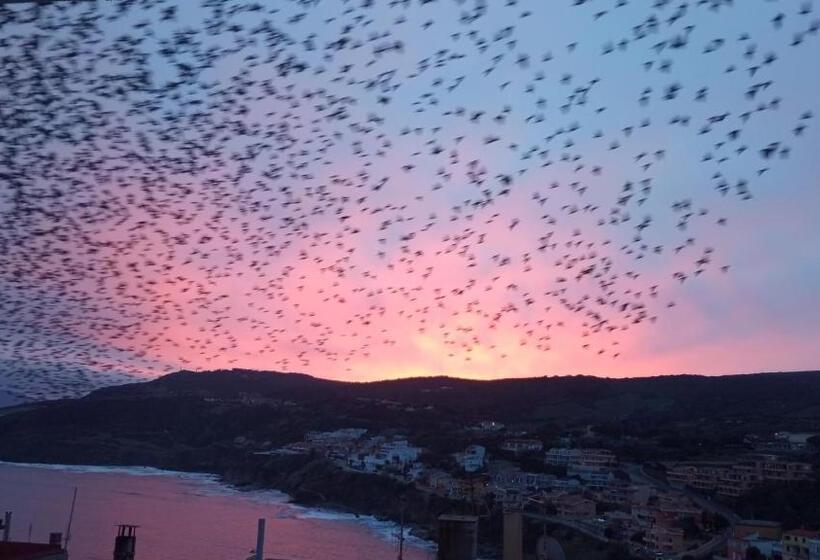 住宿加早餐  Bellagio