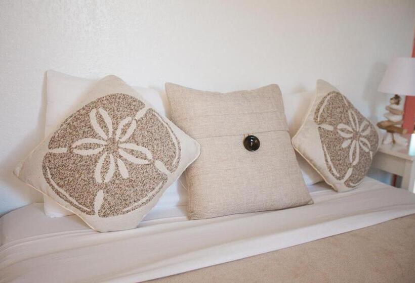 تختخواب و صبحانه Paradise Bay Bahamas