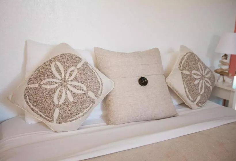 تختخواب و صبحانه Paradise Bay Bahamas