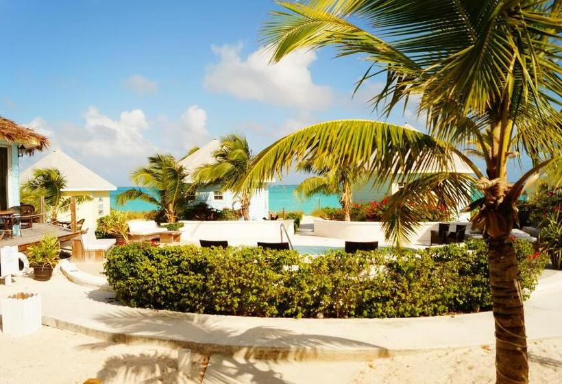 تختخواب و صبحانه Paradise Bay Bahamas