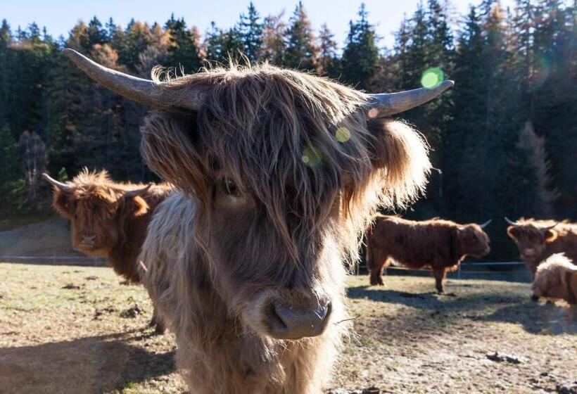 酒店 Der Zirmerhof