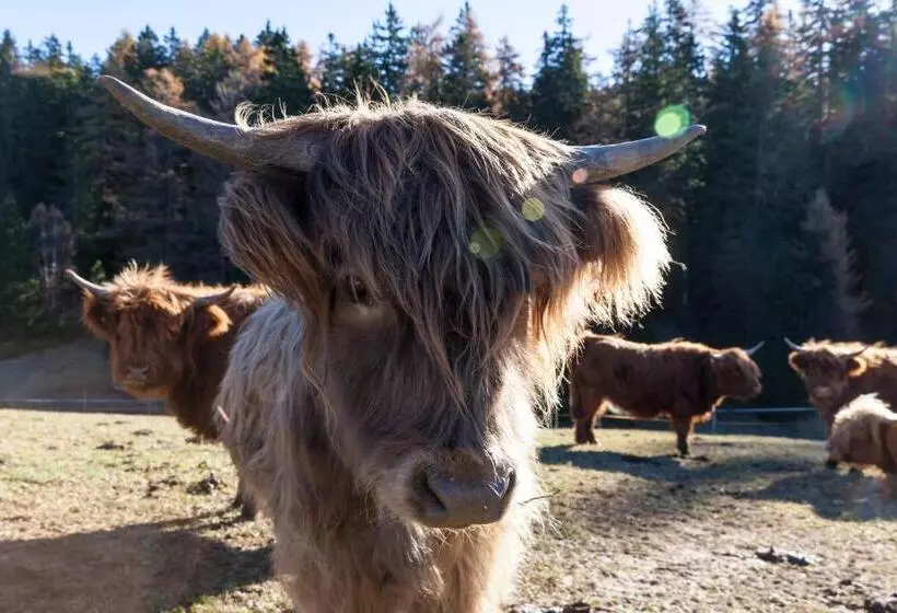 Hotelli Der Zirmerhof