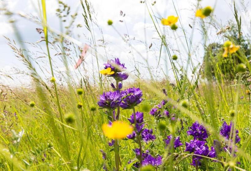 酒店 Der Zirmerhof