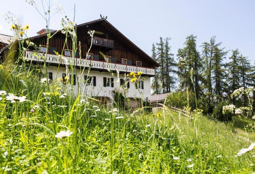 酒店 Der Zirmerhof