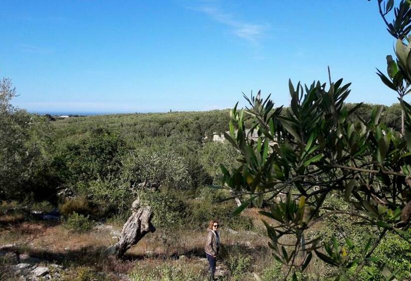 Отель Posta Santa Croce