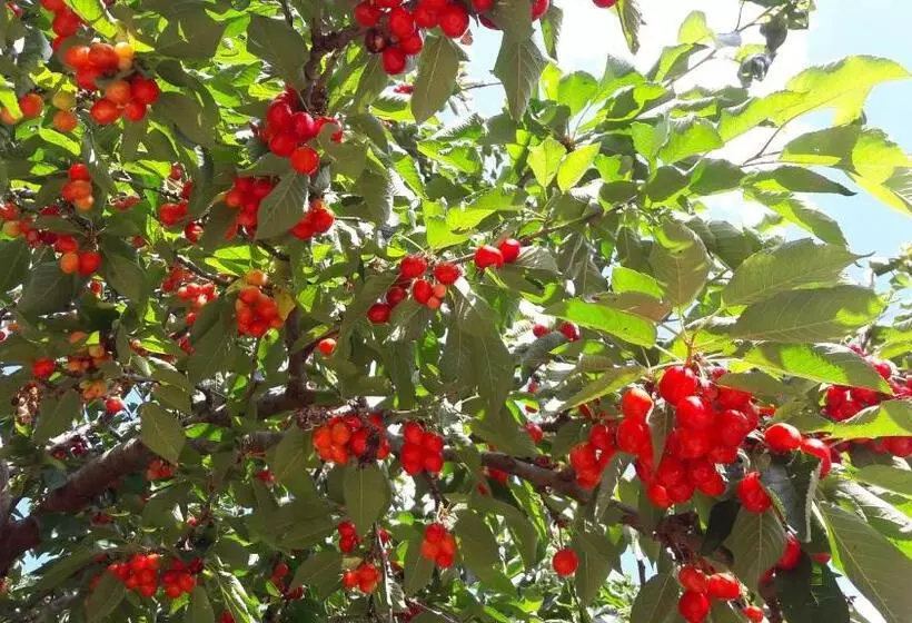 هتل Posta Santa Croce