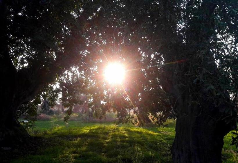 Отель Posta Santa Croce