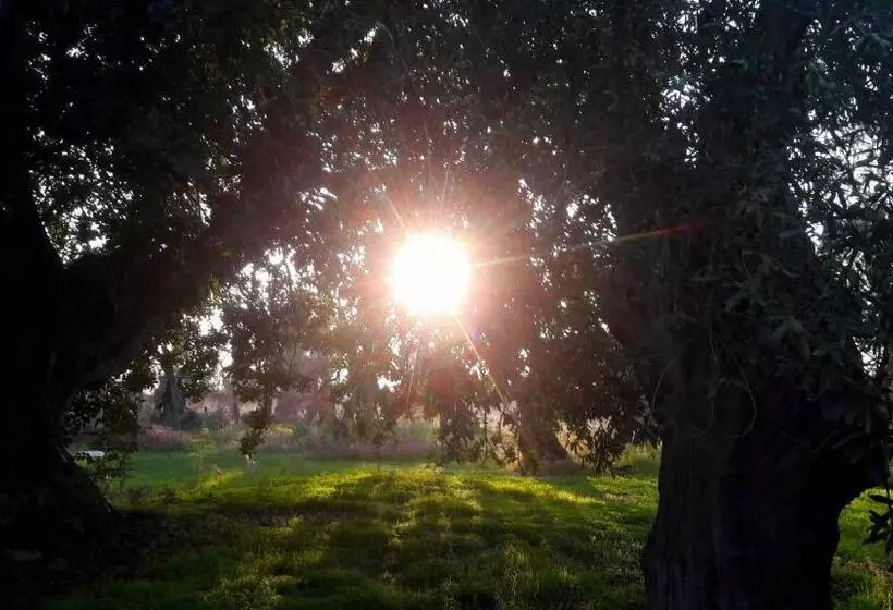 هتل Posta Santa Croce