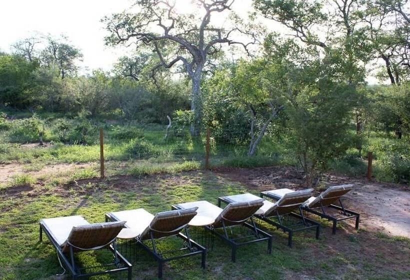 בית מלון כפרי Rafiki Bush Lodge