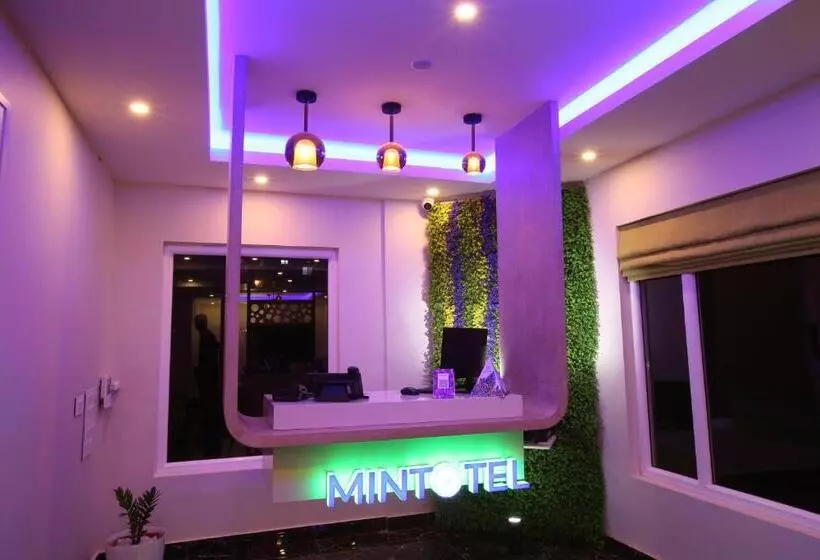 Mintotel Wayanad