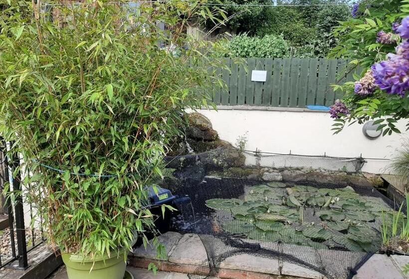 膳宿费 Holly Lodge