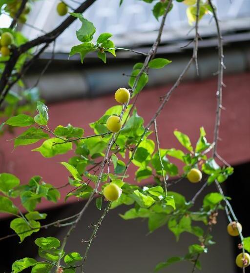Pension Lijiang Gui Yuan Tian Ju Guesthouse