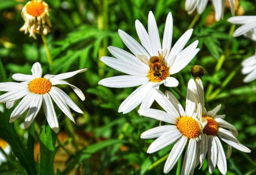 Pension Lijiang Gui Yuan Tian Ju Guesthouse