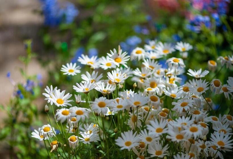 Pension Lijiang Gui Yuan Tian Ju Guesthouse