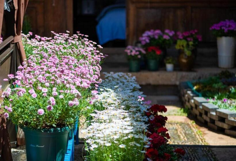 Pension Lijiang Gui Yuan Tian Ju Guesthouse