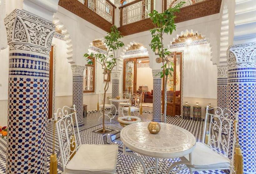 ریاض Astra Damus