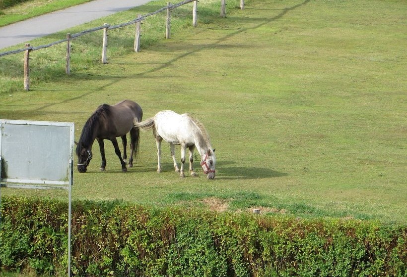 Welcoming Apartment With Garden In Kröpelin
