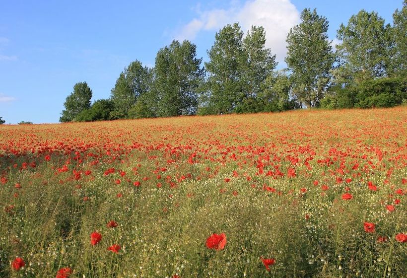 Welcoming Apartment With Garden In Kröpelin