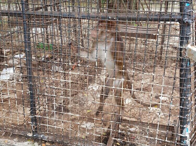 בית מלון כפרי Nipa Hut Resort