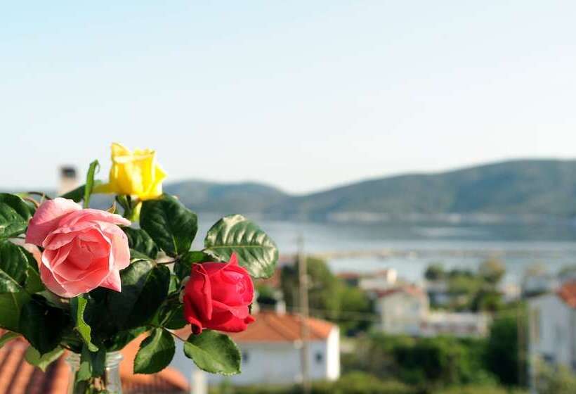 فندق Triantafilia Guesthouse