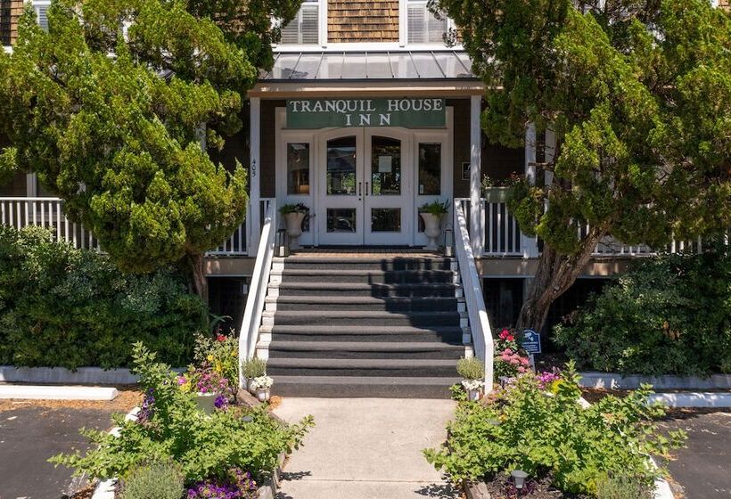 ユースホステル The Tranquil House Inn