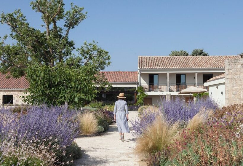 ホテル Quinta San Francisco