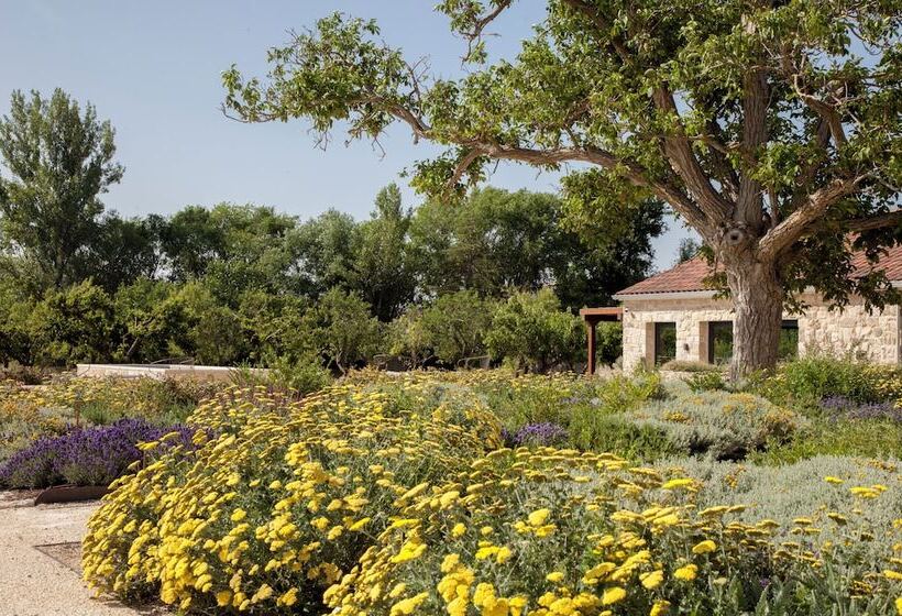 ホテル Quinta San Francisco