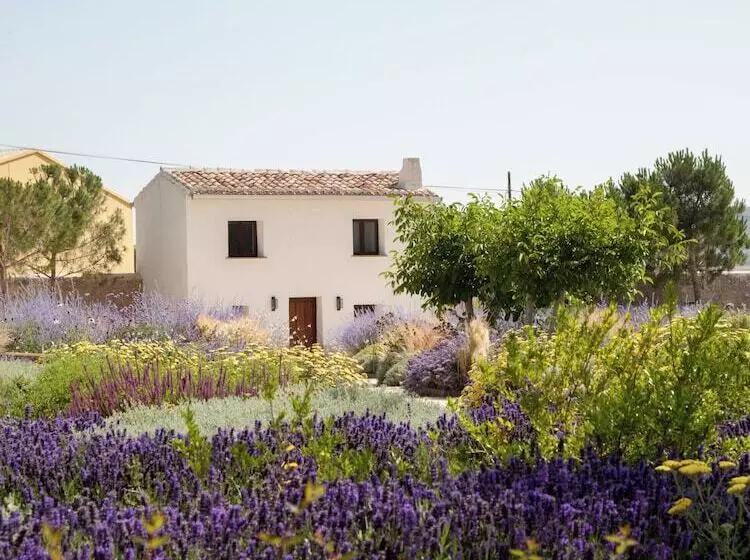 Hotelli Quinta San Francisco