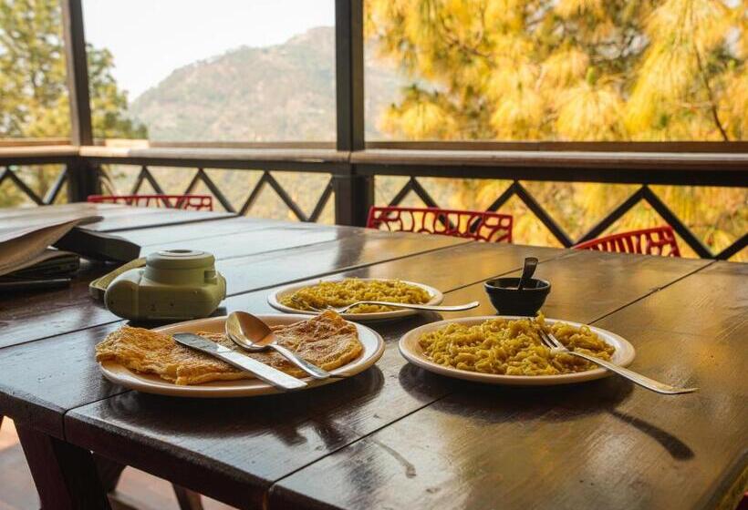 酒店 Thehimalayanliving Whistling Pines