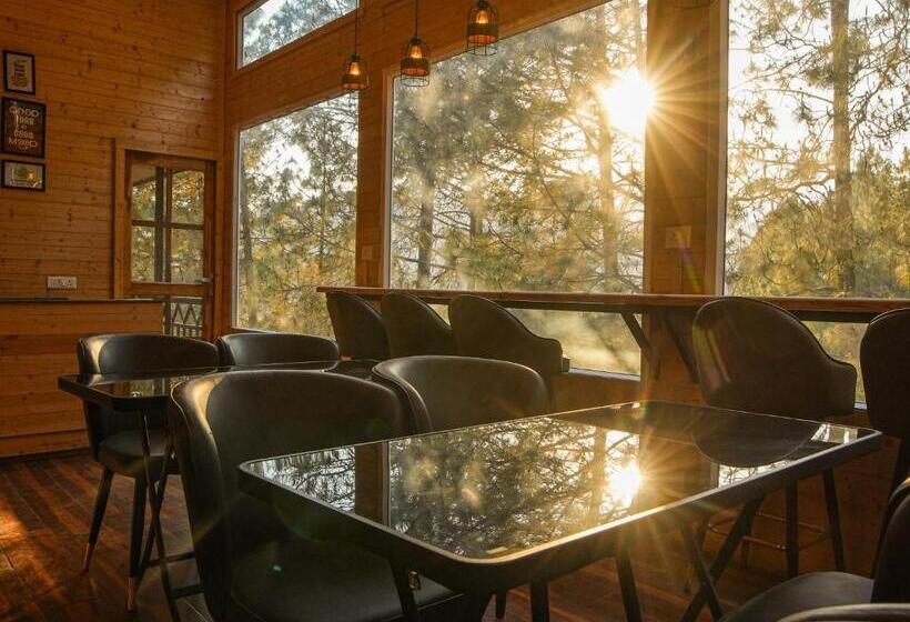 酒店 Thehimalayanliving Whistling Pines