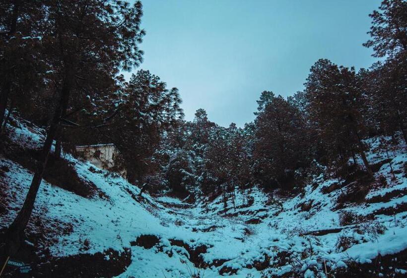 酒店 Thehimalayanliving Whistling Pines